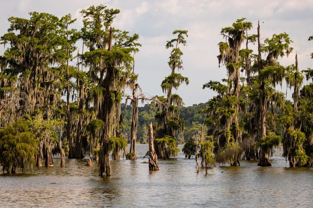 Bastrop, LA