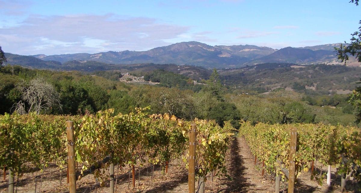 Sonoma County