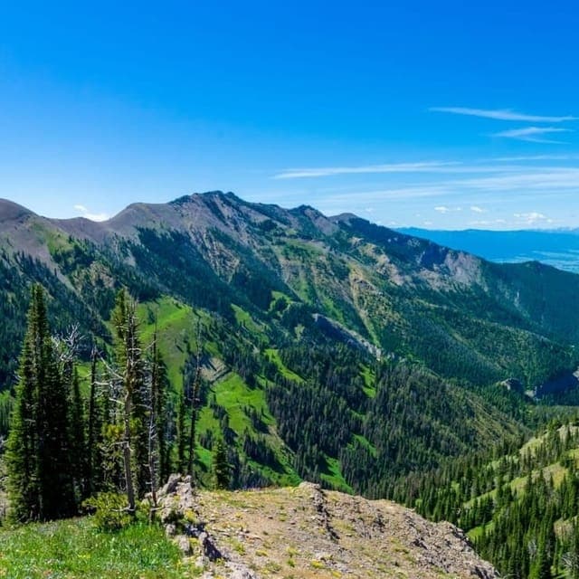 Bozeman