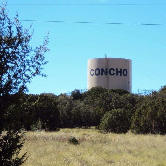 Concho