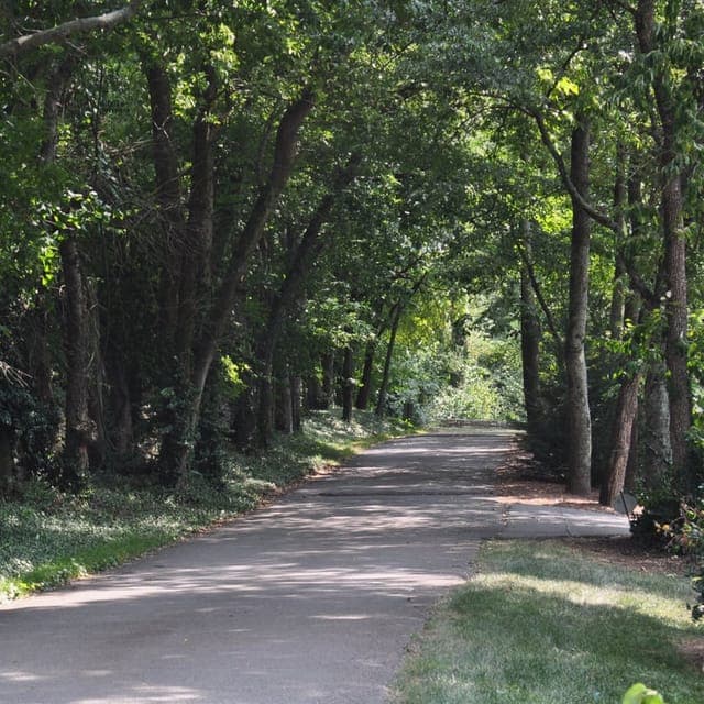 Forest Hills