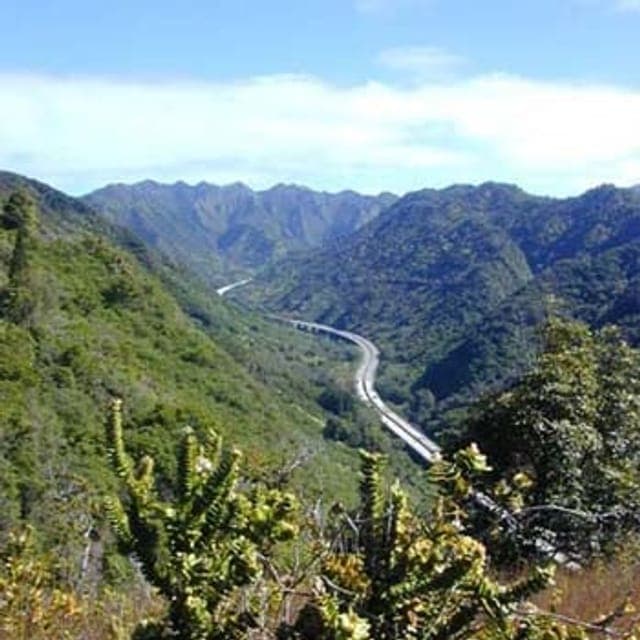 Halawa
