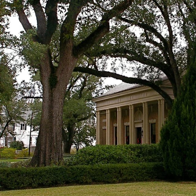 Laurel