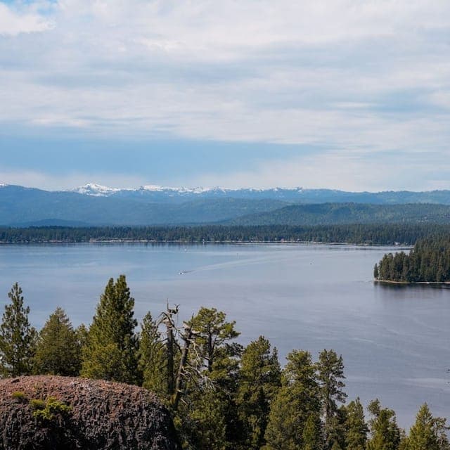 Mccall