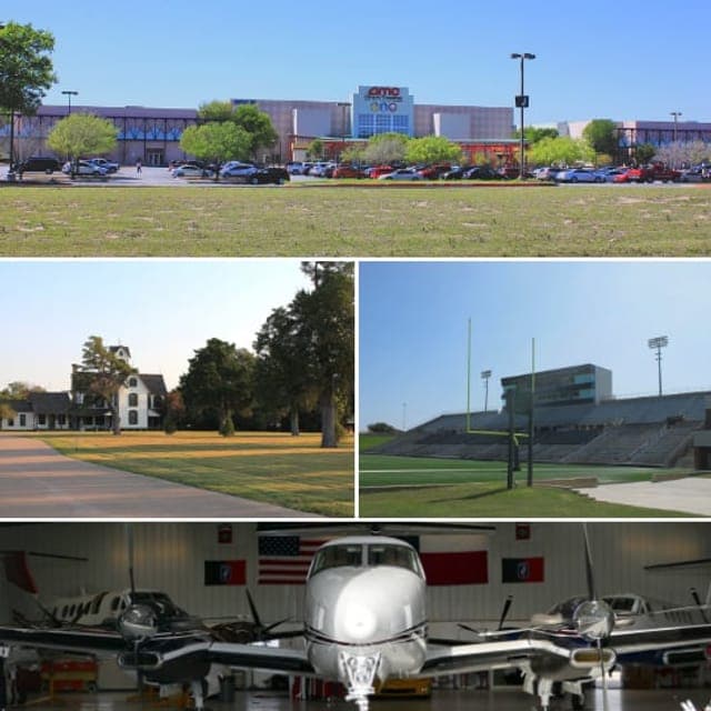 Mesquite