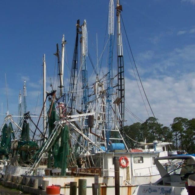 Ocean Springs
