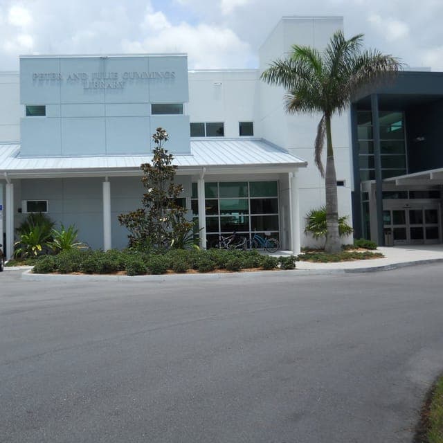 Palm City