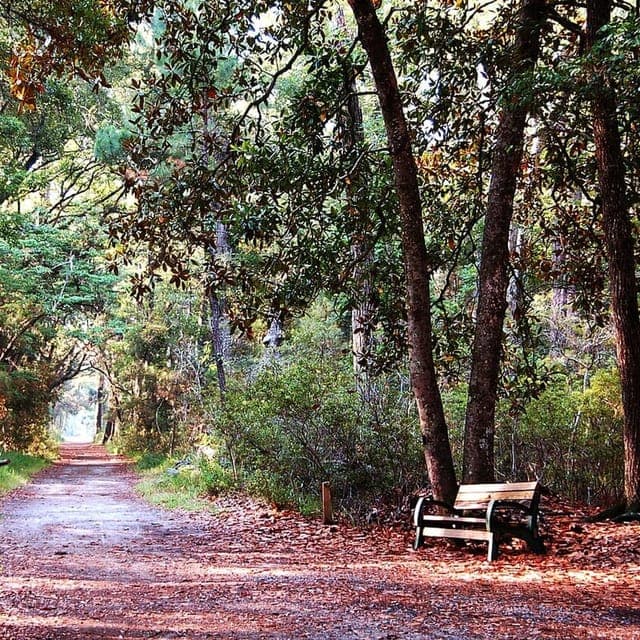 Skidaway Island