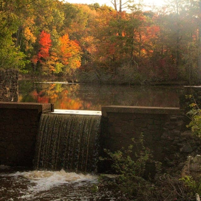 South Brunswick Township