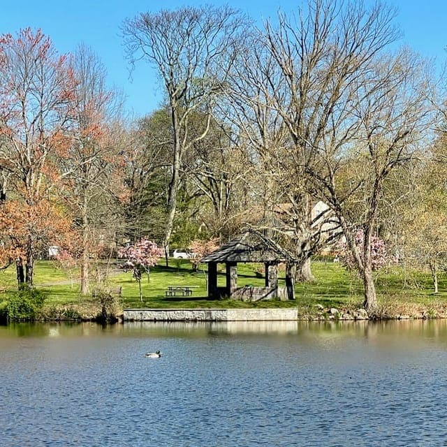 South Plainfield