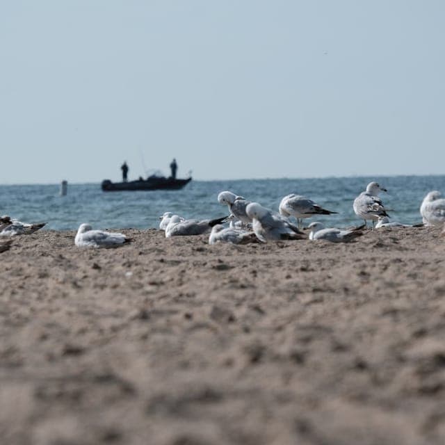 St Clair Shores