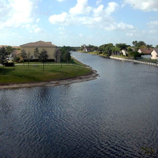 Tamarac