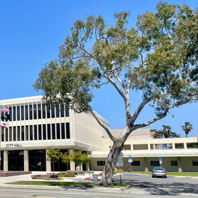 Torrance