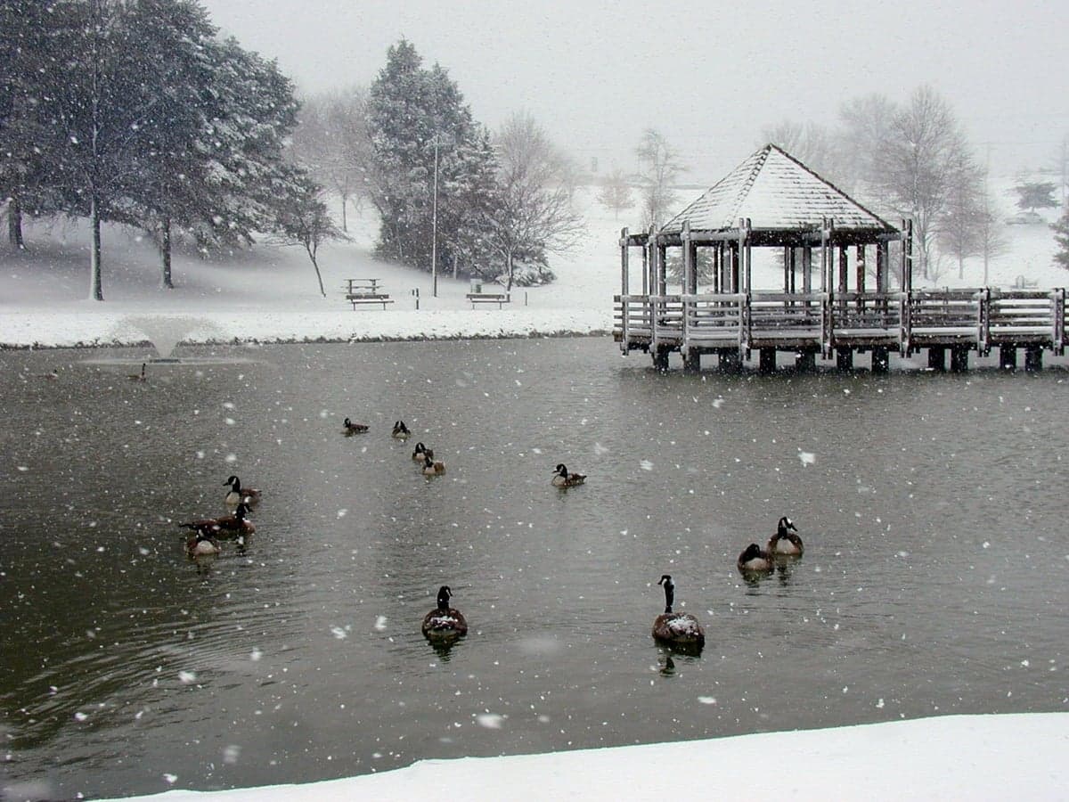 Ballwin, MO