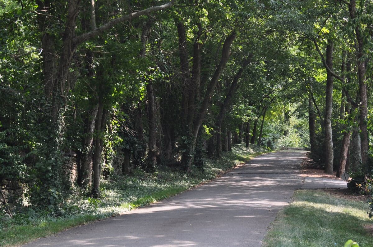 Forest Hills, TN