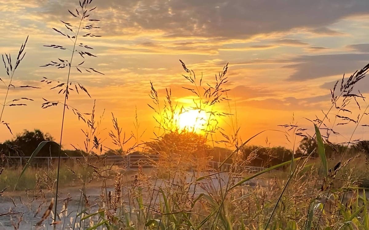 Gunter, TX