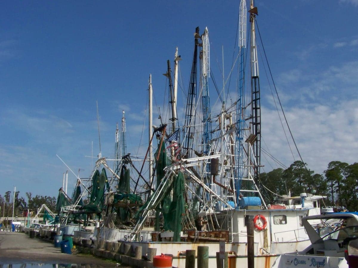 Ocean Springs, MS