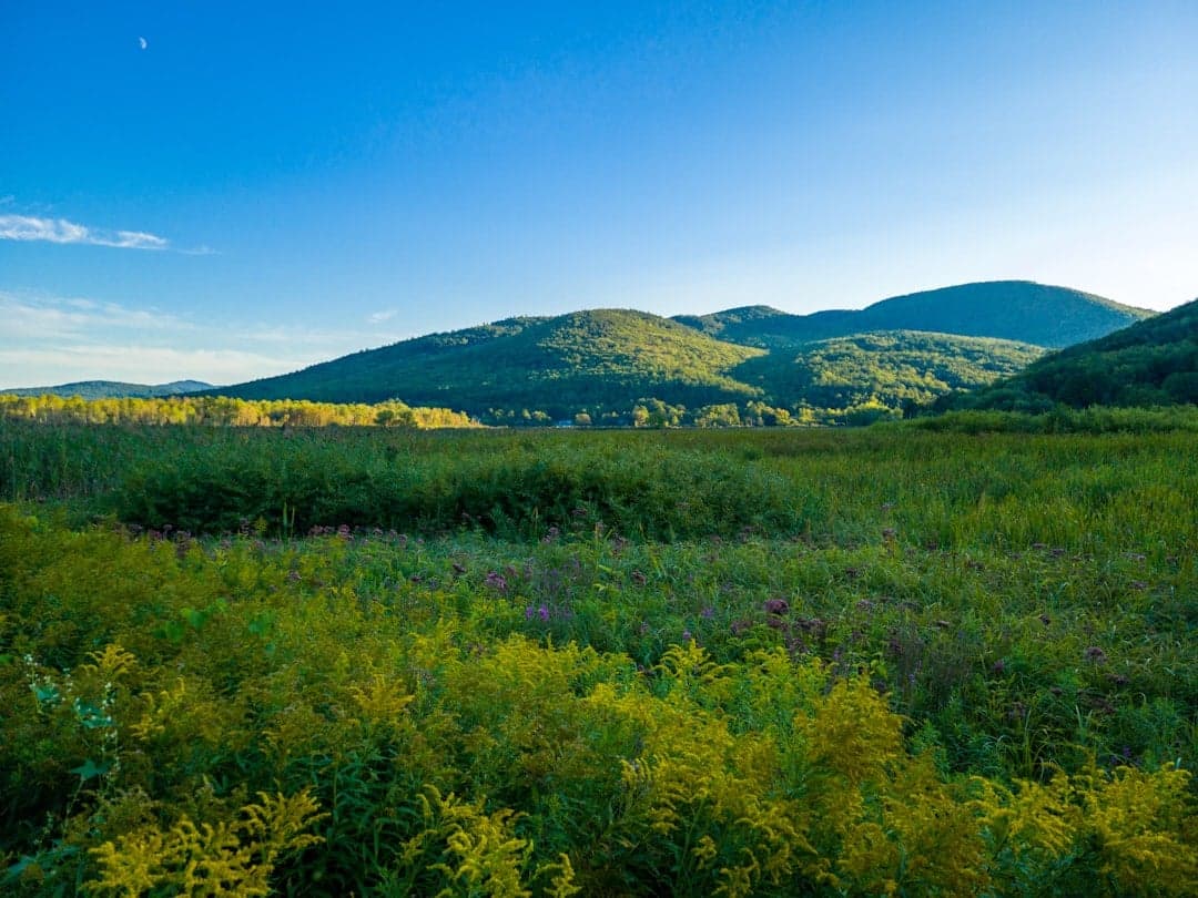 Rutland, VT