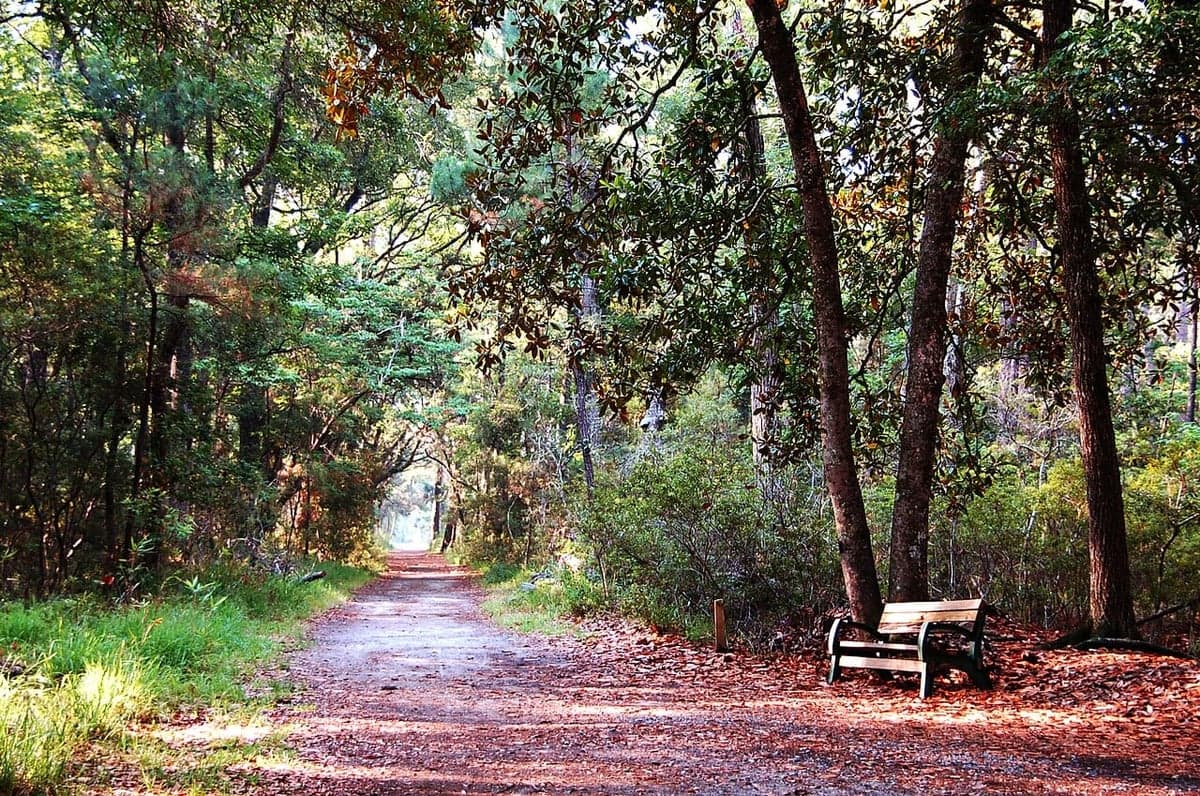 Skidaway Island, GA