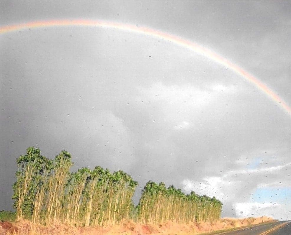 Wahiawa, HI