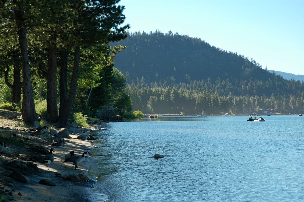 Placer County
