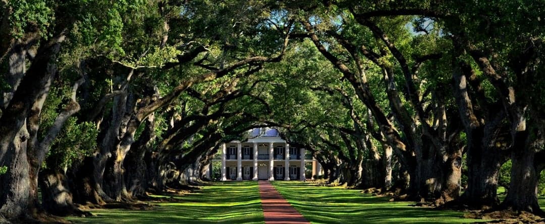 St Landry County